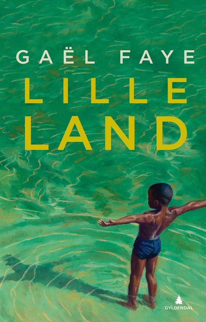 Lille land - roman
