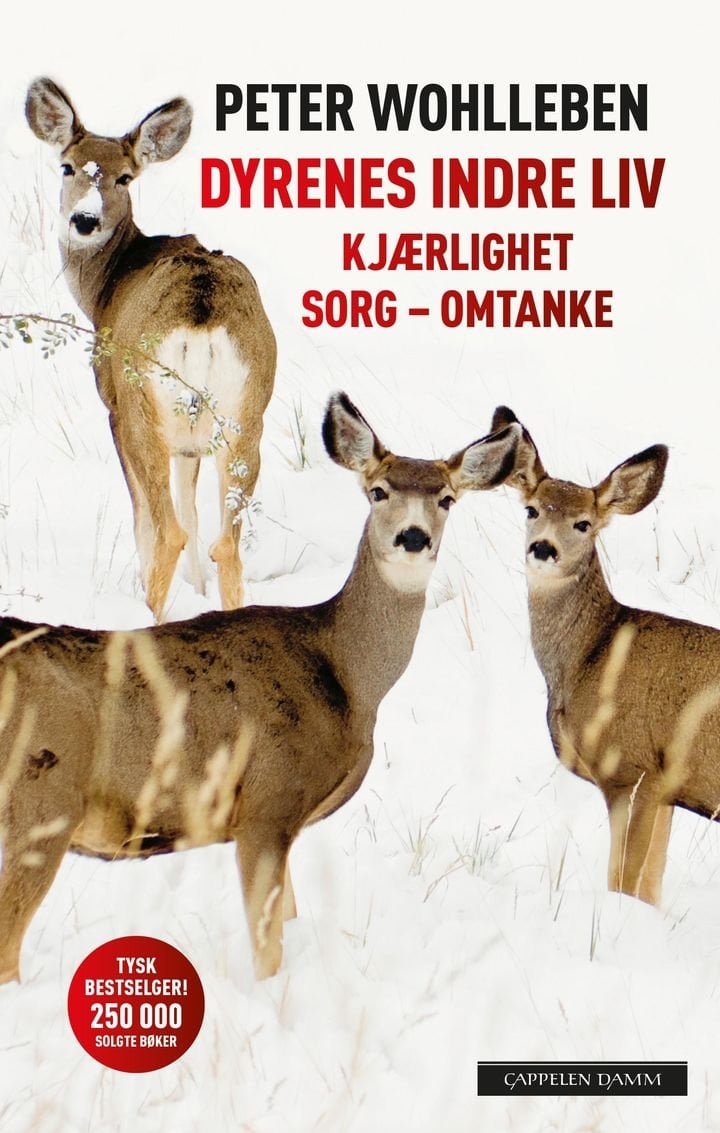 Dyrenes indre liv - kjærlighet, sorg, omtanke