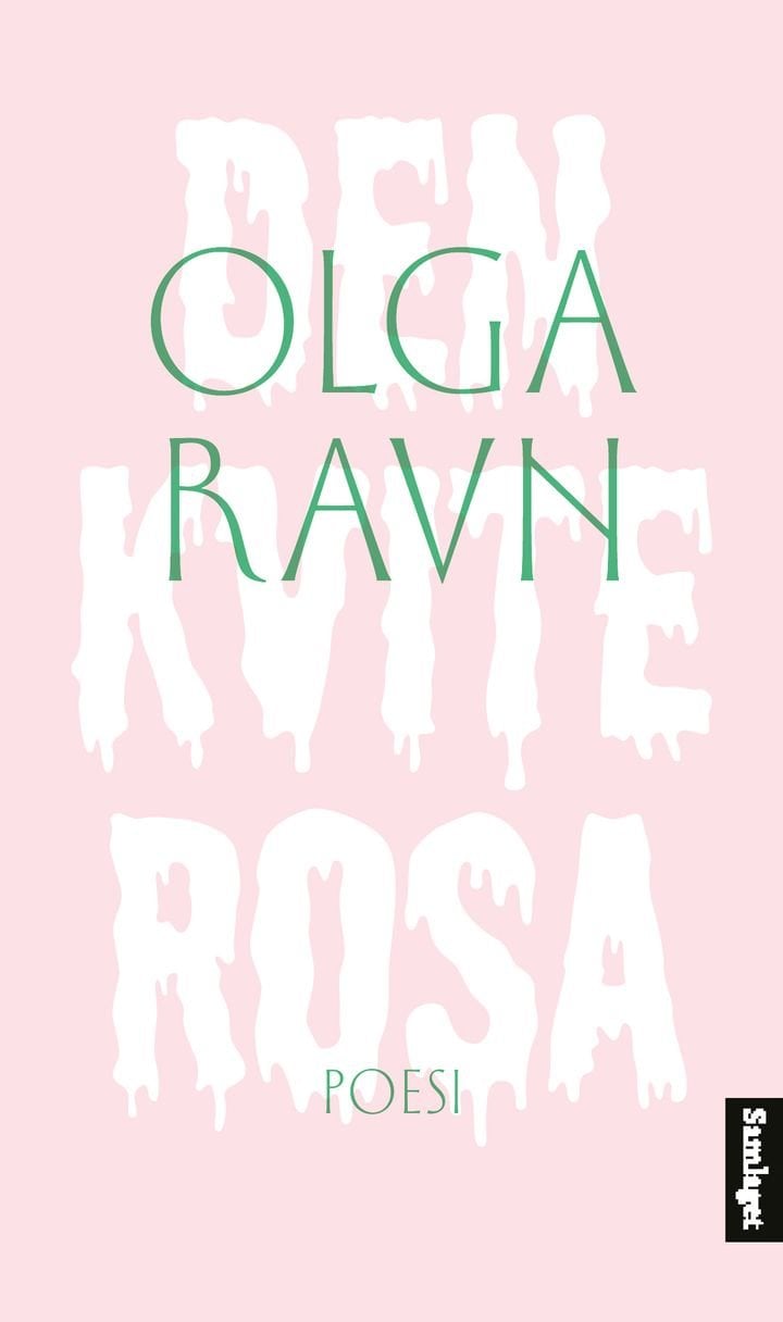 Den kvite rosa - lyrikk