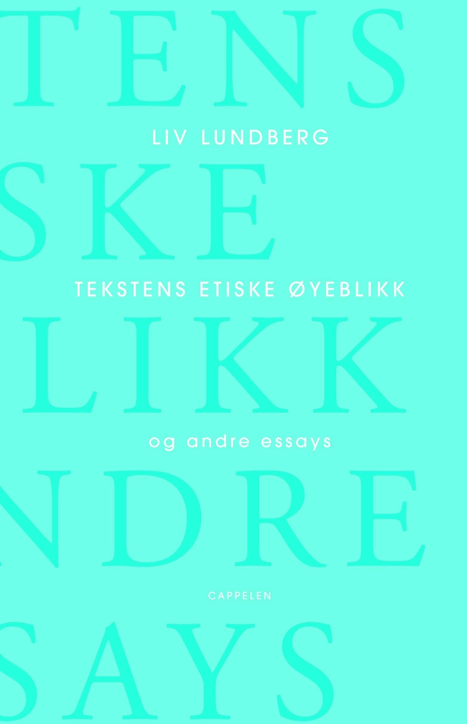 Tekstens etiske øyeblikk og andre essays