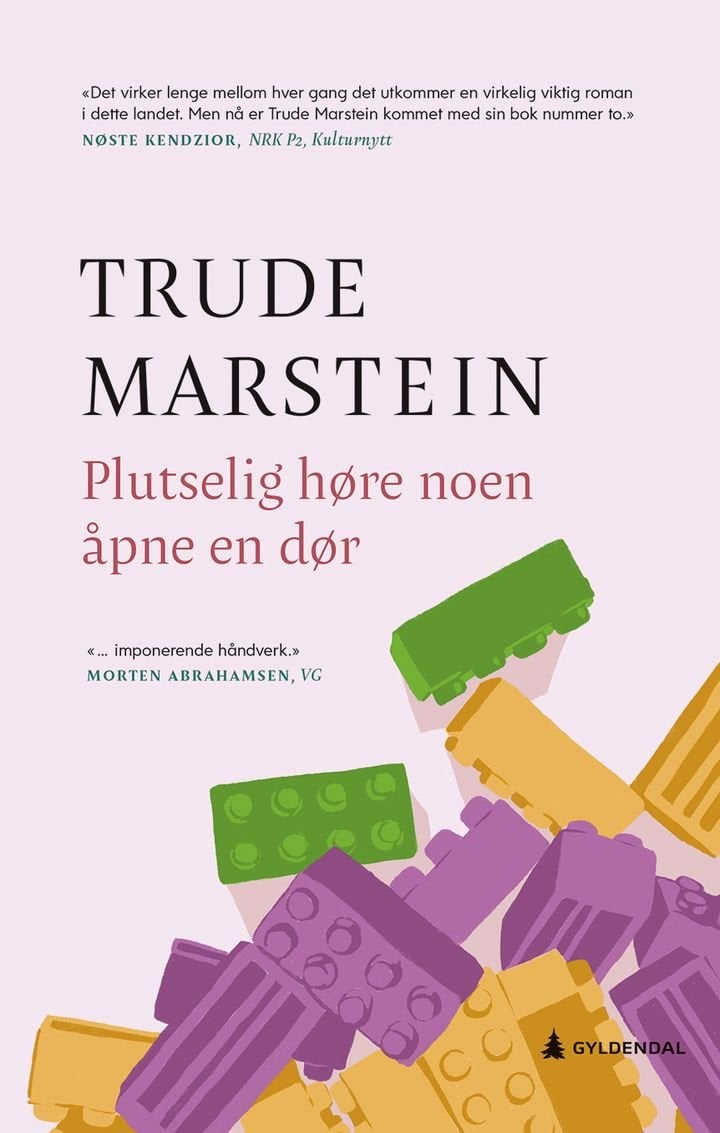Plutselig høre noen åpne en dør - roman