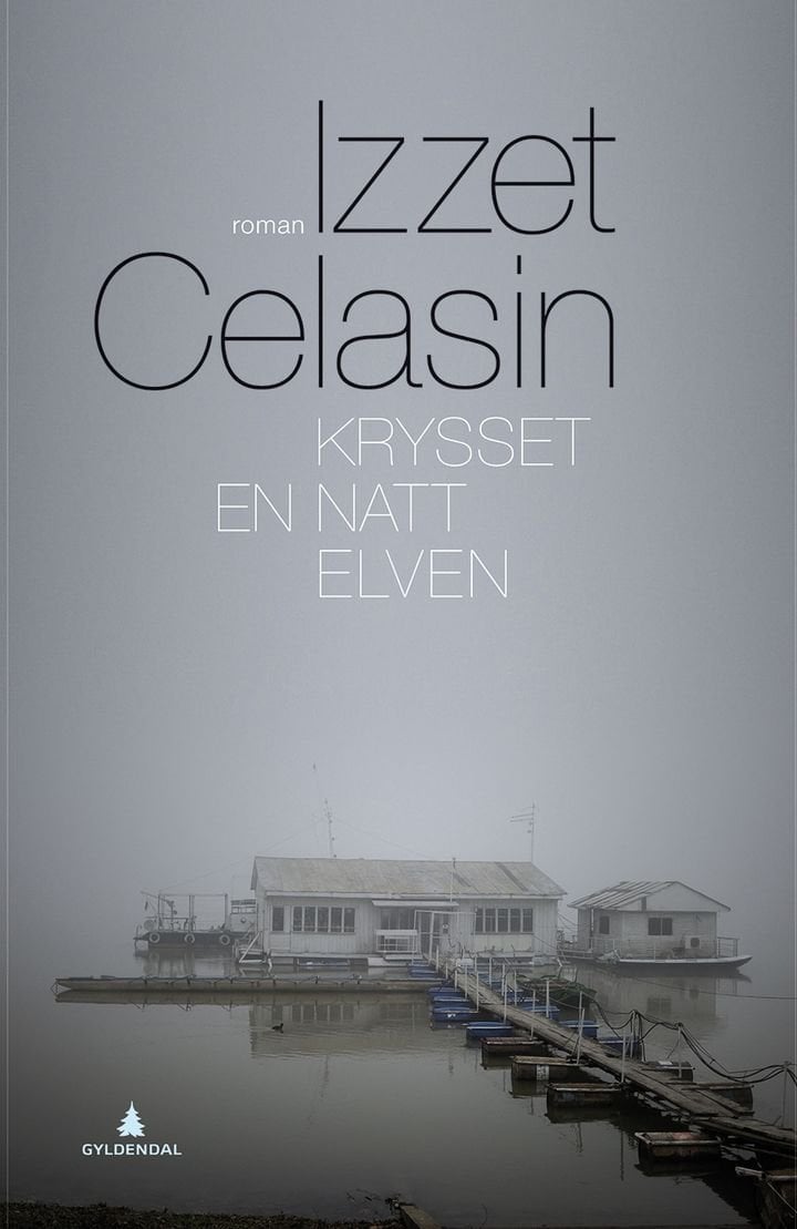 Krysset en natt elven - roman