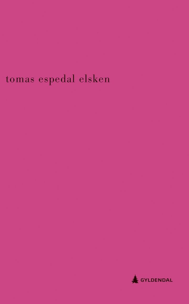 Elsken - roman