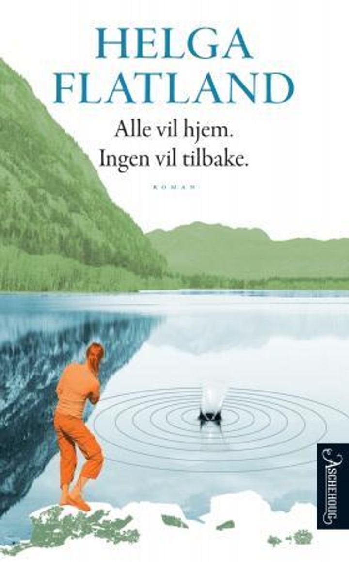 Alle vil hjem. Ingen vil tilbake - roman