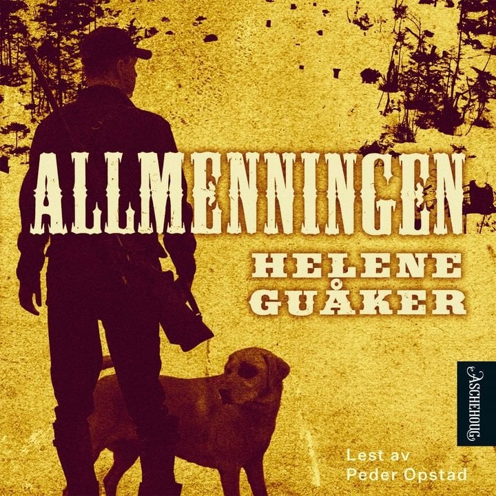 Allmenningen