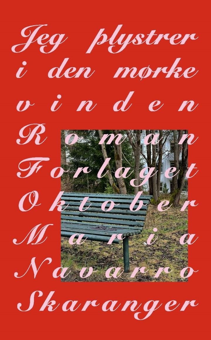 Jeg plystrer i den mørke vinden - roman