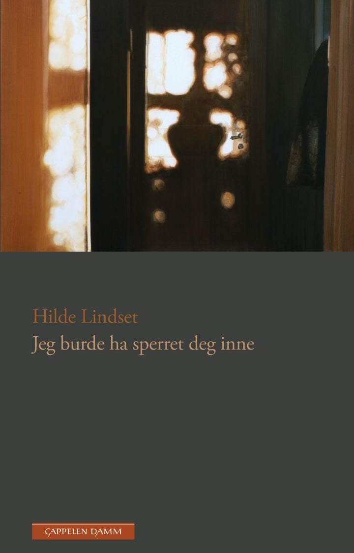 Jeg burde ha sperret deg inne - noveller