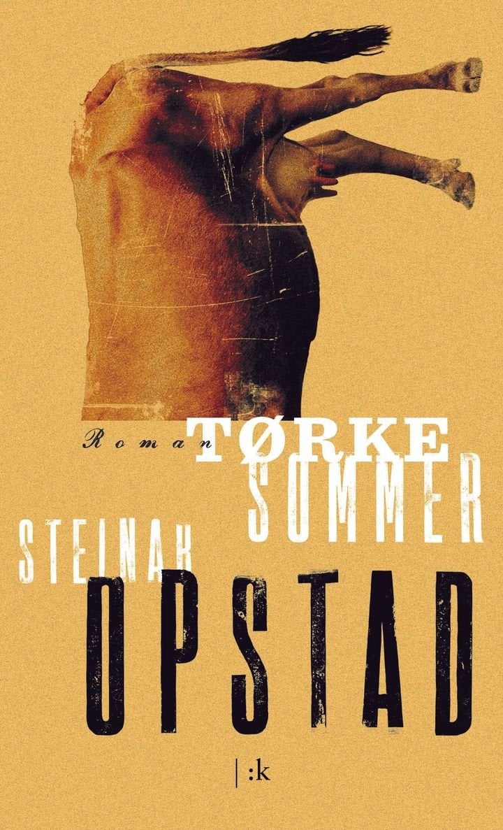Tørkesommer - roman