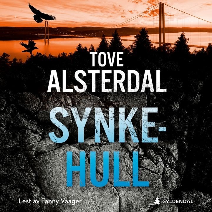 Synkehull