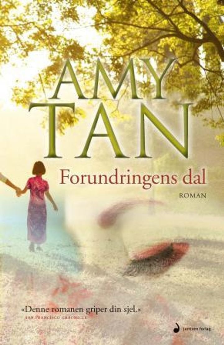 Forundringens dal - roman