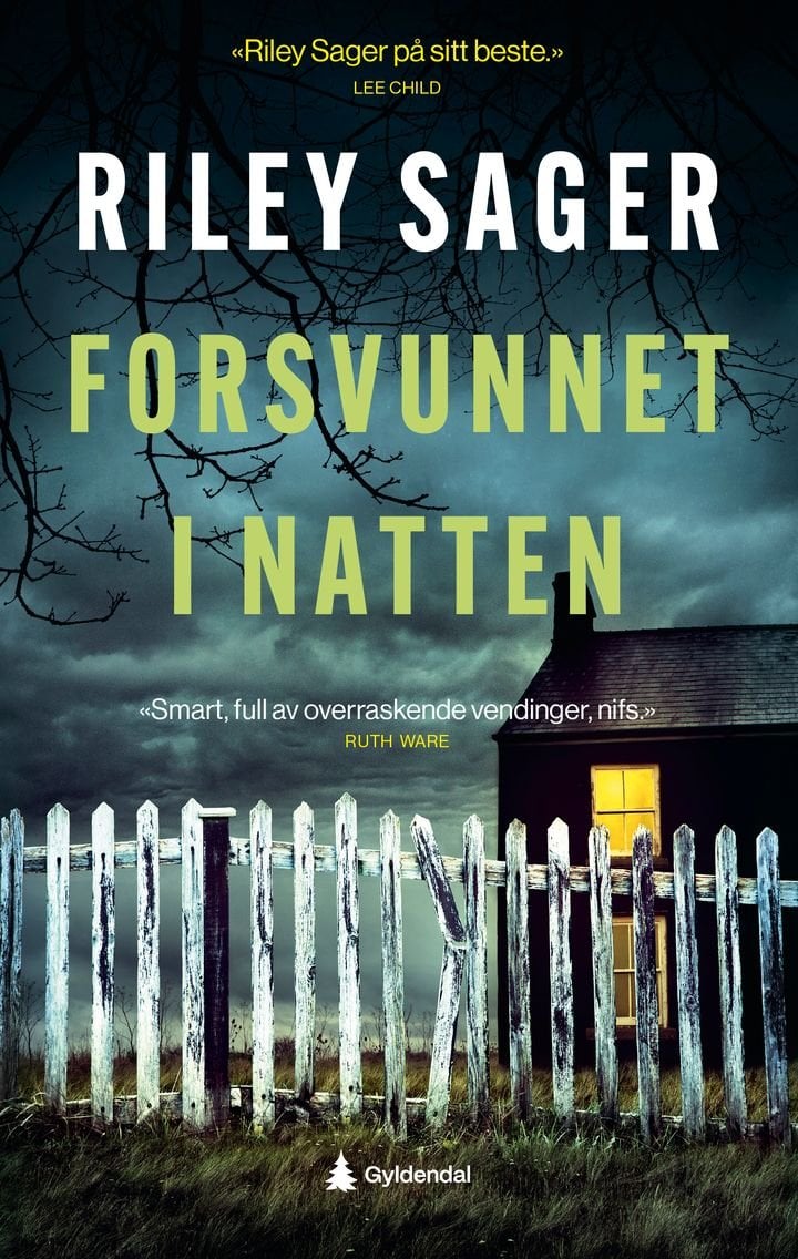 Forsvunnet i natten