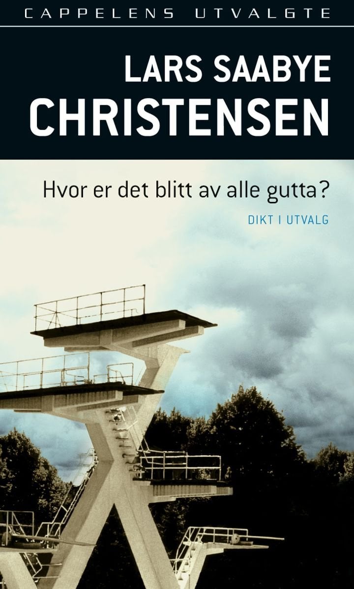 Hvor er det blitt av alle gutta? - dikt i utvalg 1973-90