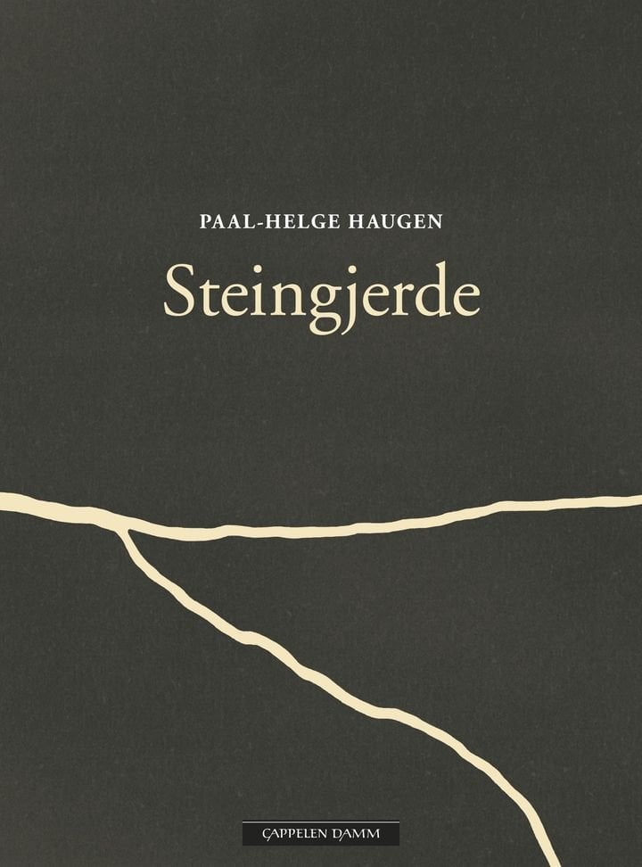 Steingjerde - ein diktroman