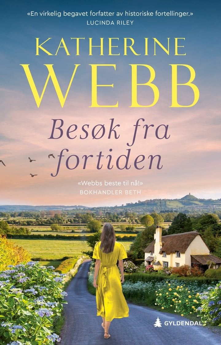 Besøk fra fortiden - roman