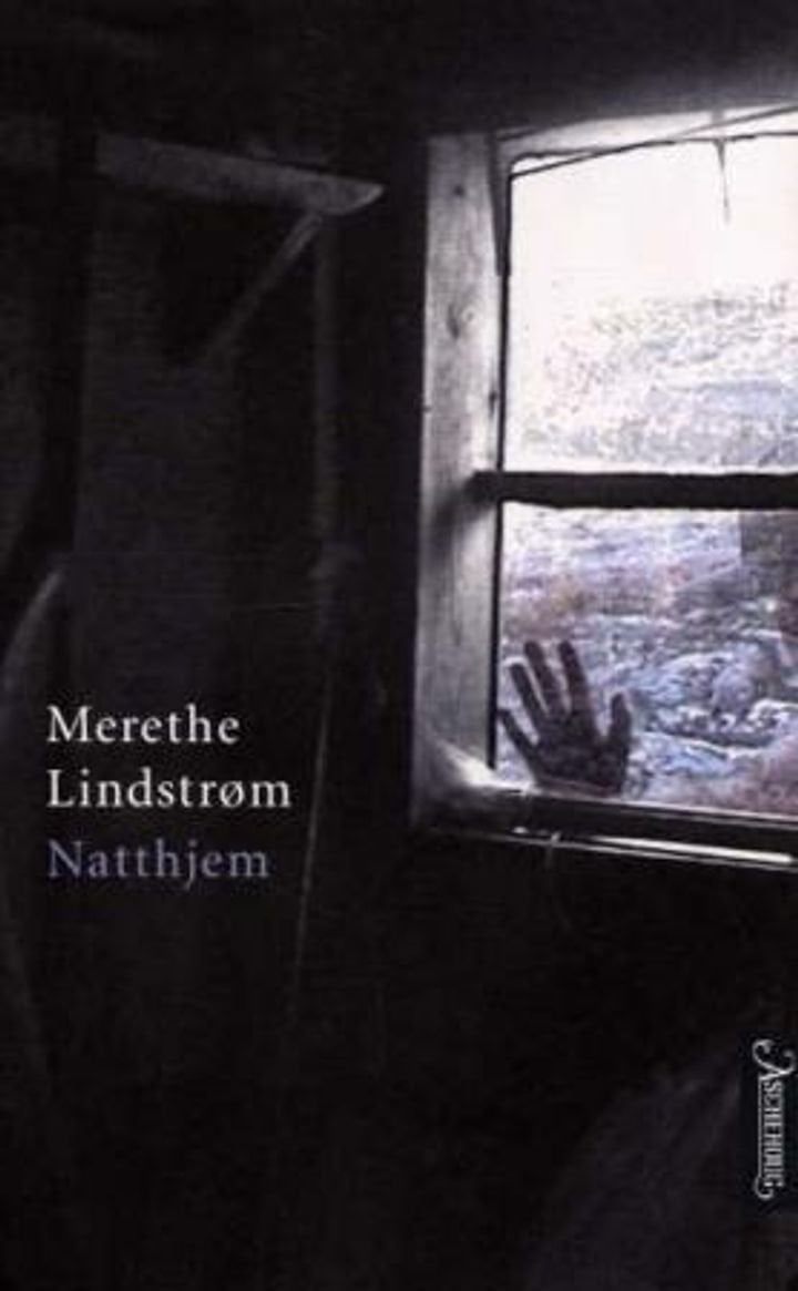 Natthjem - roman