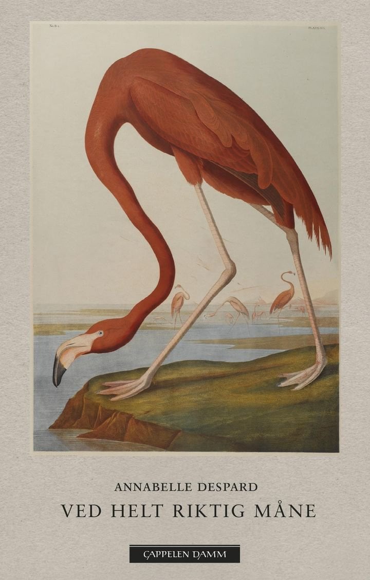 Ved helt riktig måne - dikt