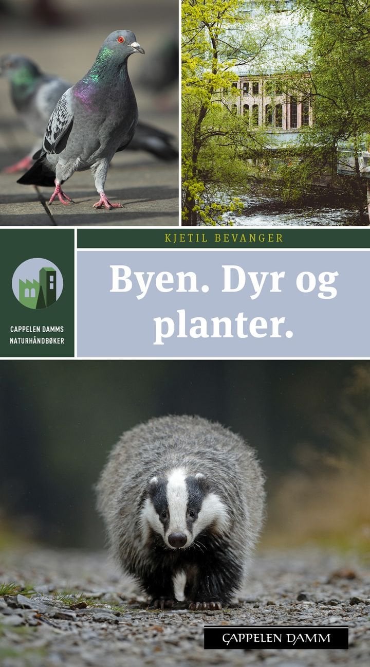Byen - dyr og planter : enkel og sikker artsbestemmelse