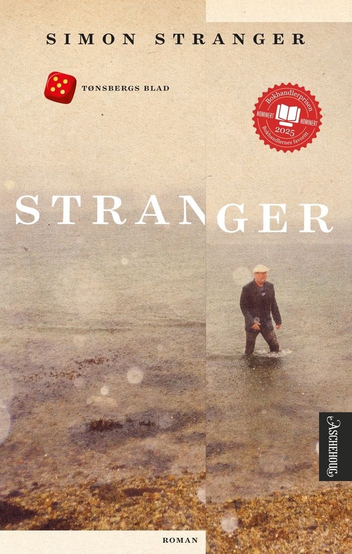 Stranger - roman