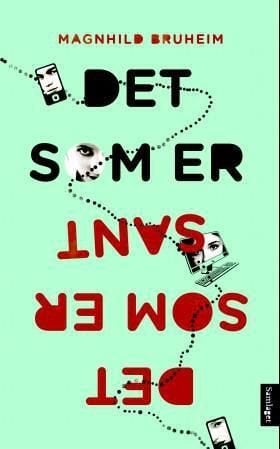 Det som er sant - roman