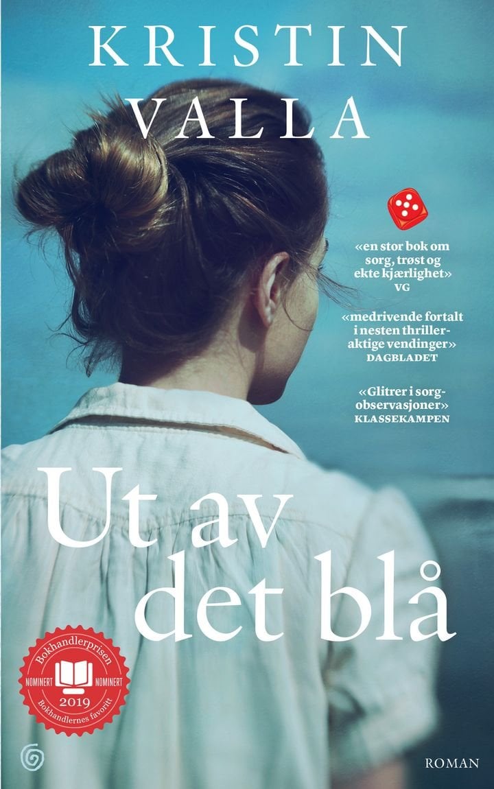Ut av det blå - roman