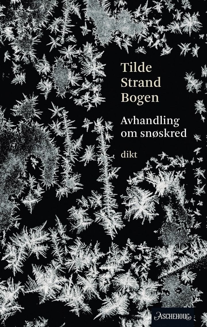 Avhandling om snøskred - lyrikk