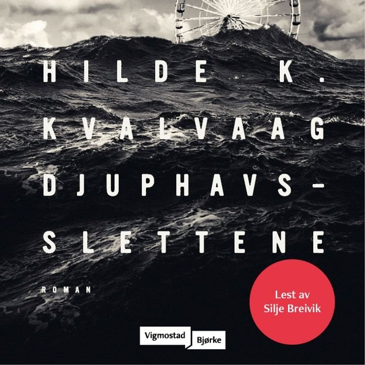 Djuphavsslettene - roman