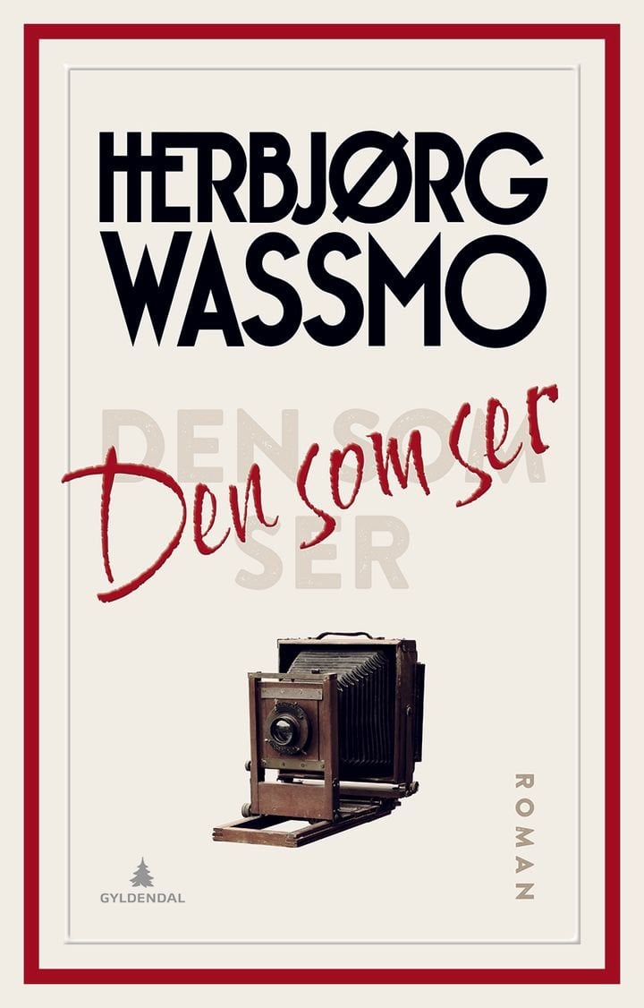 Den som ser - roman