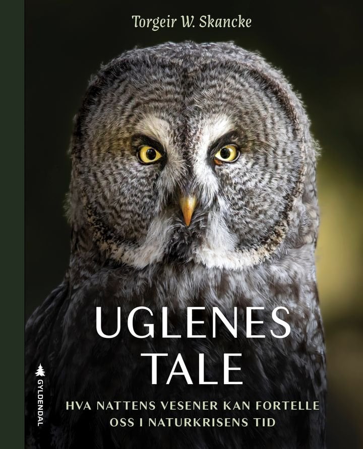 Uglenes tale - hva nattens vesener kan fortelle oss i naturkrisens tid